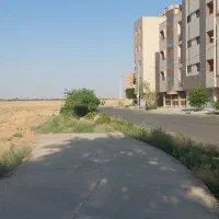 پلاک زمین ۲۰۵متری۳پلاک فقط۲۰۵میلیون شاهین شهر