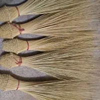 جارو|جاروبرقی، جارو شارژی، بخارشو|هامون, |دیوار