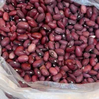 لوبیا قرمزمحصول امسال سوپر پزا به شرط درجه یک