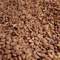 همکار و ویزیتور خانم