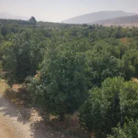 فروش زمین کشاورزی