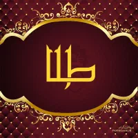 قطعه طلا پیداشده،زمان گم شدن ومشخصات طلا را بگویید