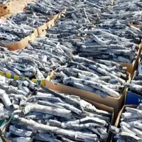 زغال پسته سفید اعلا