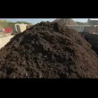 کود گاوی کود حیوانی انبار