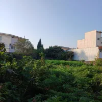 زمین-ساحلی-نمک-آبرود-280متر-لوکیشن-بی-نظیر