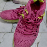 کفش نو وکار کرده|کیف، کفش، کمربند|مراغه, |دیوار