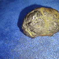 شهاب سنگ|کلکسیون و سرگرمی|شیراز, شهرک بهار|دیوار