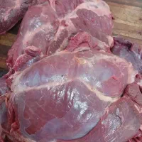 گوشت گرم با قیمت اقتصادی