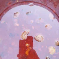 به یک آقا یا خانم جهت کار در غذای خانگی نیازمندیم