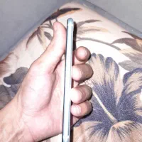 iphone se 2020|موبایل|پرند, فاز ۵|دیوار
