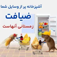 سمپاشی تضمینی سوسک موش مورچه ساس بهداشت HSE