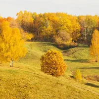 راهنمایی
