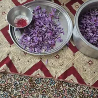 زعفران ممتاز قائنات