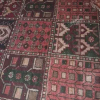 قالی محلی