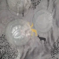 ظروف نو سالم