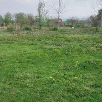 فروش زمین ۵۰۰ متری کاملن مسکونی|فروش زمین و ملک کلنگی|شاندرمن, |دیوار