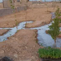 فروش فوری زمین