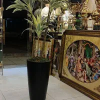 درختچه وارداتی ارتفاع ۱۹۰|گل مصنوعی|تبریز, |دیوار