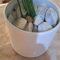 دکوری|صنایع دستی و سایر لوازم تزئینی|مشهد, امامیه (شهرک غرب)|دیوار