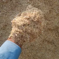 کاه گلرنگ|عمدهفروشی|زرقان, |دیوار
