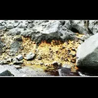 خاک طلا  مشاوره رایگان