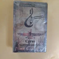 پاسور در حد نو