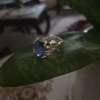 انگشتر|جواهرات|نجف‌آباد, امیرکبیر|دیوار