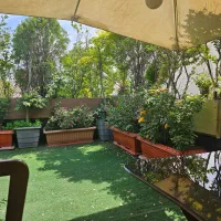 اجاره دفتر در پاسداران