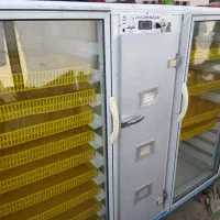 دستگاه خشک کن میوه وسبزی ۴۰ سینی