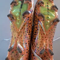 استوک چمن|کیف، کفش، کمربند|کلارآباد, |دیوار