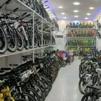 کله گوزنی ۲۶.۲۴*کمکدار/چکی