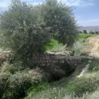 فروش زمین برنج کاری(پاریو)|فروش دفتر صنعتی، کشاورزی، تجاری|لردگان, |دیوار