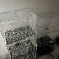 قفس پرنده