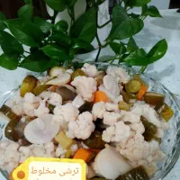 انواع ترشی خونگی وارگانیک|خوردنی و آشامیدنی|اهواز, بهارستان|دیوار