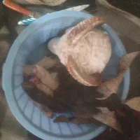 تمیز کردن کله پاچه