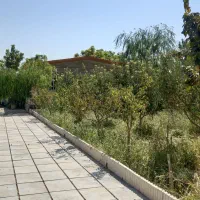 ۱۵۶۰ متر باغ ویلا شهرکی مناسب سرمایه گذاری|فروش زمین و ملک کلنگی|محمدشهر, محمدشهر|دیوار