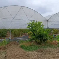 ۲۰هزار متر زمین جاده دریا گهرباران قابل ساخت ساز