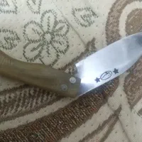 دسته شاخ