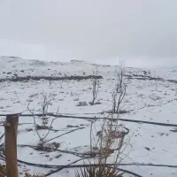 باغ-2000-متری-کسکن