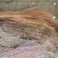 خرید و فروش جارو شهرداری