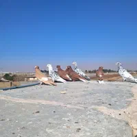 کفتراهوایی ۵ عدد رنگی