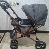 کالسکه دلیجان مدل بنیتا بدنه مسی