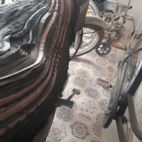 موتور تک تازمدل۸۱