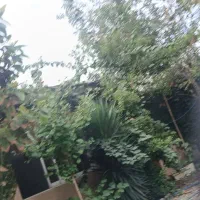 تور بابلسر بسیار شاد