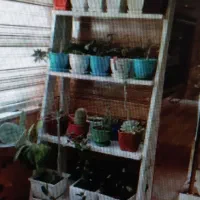 استند گلدان و...