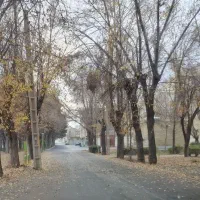 خریدار زمین در زرین شهر