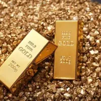 طلای رایگان با ثبت نام در میلی