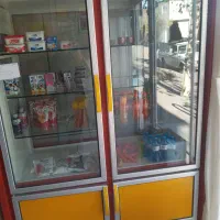 یخچال وقفسه