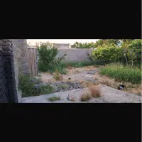 باغ چهاردیواری کوچه ویلاسازی شاهدشهر آماده ی ساخت|فروش زمین و ملک کلنگی|تهران, تهرانسر مرکزی|دیوار