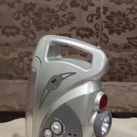 ضبط صوتی خانگی DENAY